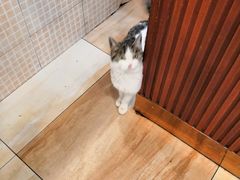 -老王四季抻面(南六东路店)