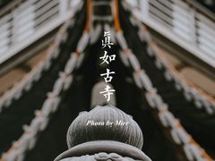 -真如寺