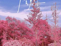 -钟山体育运动公园
