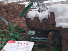 -兰陵国家农业公园