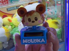 -汤姆熊欢乐世界(莘庄龙之梦店)