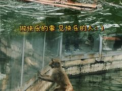 -红山森林动物园