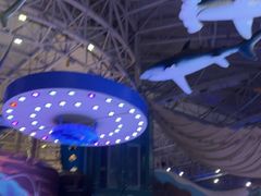 -烟台海昌鲸鲨海洋公园