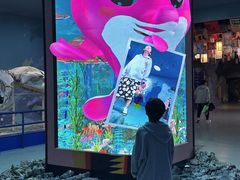 -福州罗源湾海洋世界旅游区