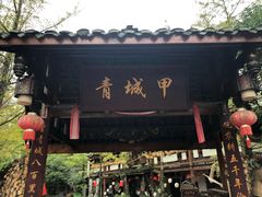 -青城甲(青城山店)