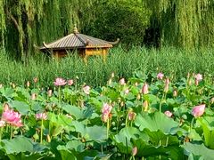 -太阳宫公园