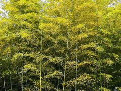 -苏州河梦清园环保主题公园