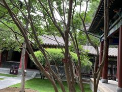 -碑林公园