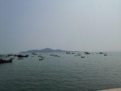 -悦海公园