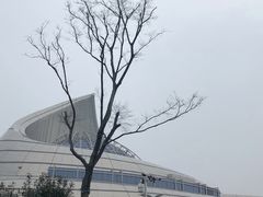 -中国港口博物馆