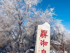 -雾凇岛