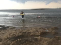 -碧海金沙