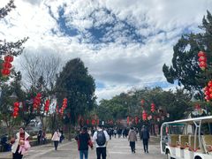 -溪口-滕头旅游景区