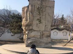 -北京鹫峰国家森林公园
