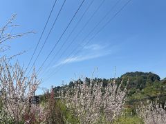 -楠柏弯休闲山庄(梨花溪店)