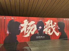 -合肥大剧院