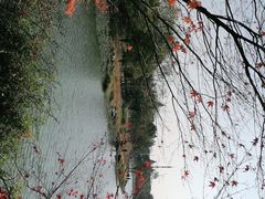 -长广溪湿地公园