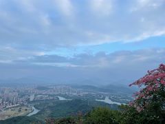 -风云岭森林公园