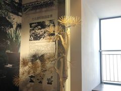 -南京书画院金陵美术馆