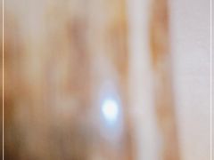 -李连贵熏肉美食酒楼(东市商贸店)