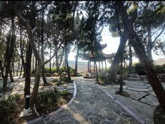 -嘉定紫藤园