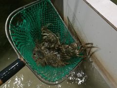 -乡乐园蟹庄·阳澄湖农家乐