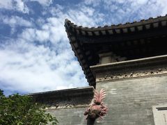 -碧江金楼