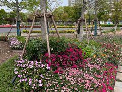 -春花秋色城市公园