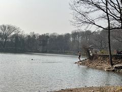 -紫霞湖公园