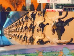 -大庆市博物馆