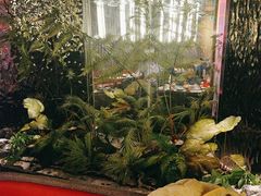 -喜庭海鲜自助(北辰三角洲北辰荟店)