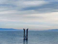 -青海湖二郎剑景区