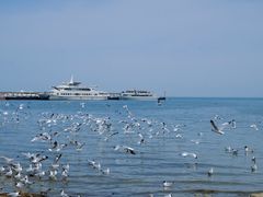 -青海湖国家重点风景名胜区