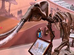 -陕西自然博物馆