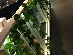 -鱼酷活力烤鱼(万象城店)