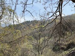 -秦岭终南山世界地质公园翠华山景区