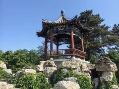 -大兴滨河森林公园