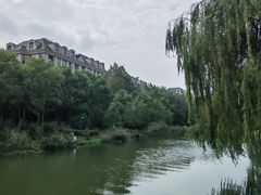 -新江湾城公园