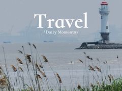 -上海吴淞炮台湾国家湿地公园