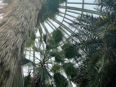 -郑州植物园