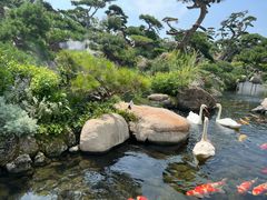 -罗红摄影艺术馆