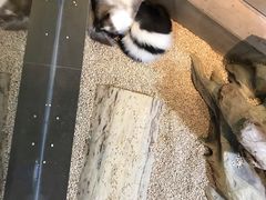 -昆明大悦城未来动物城(螺蛳湾中心店)