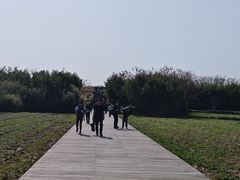-良渚古城遗址公园