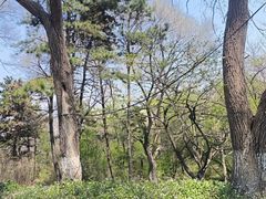 -叶赫那拉城