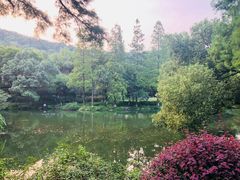-杭州花家山庄