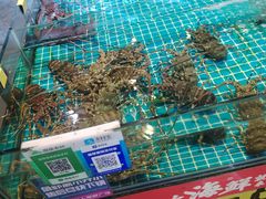 -三亚火车头万人海鲜广场