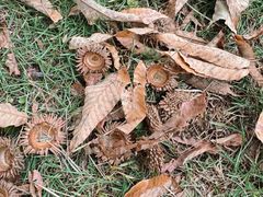 -白塘生态植物园