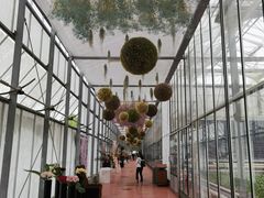 -上海鲜花港
