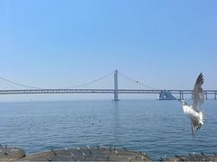 -星海广场