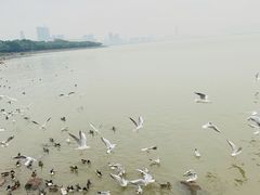 -深圳湾公园(南山区)